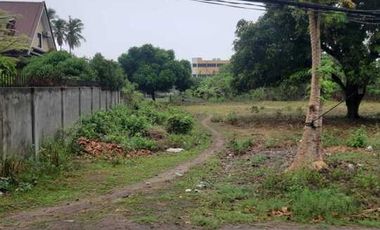 2 LOTS FOR SALE IN DUMAGUETE ID 14900