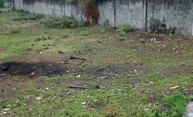 2 LOTS FOR SALE IN DUMAGUETE ID 14900