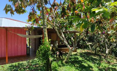 Venta Finca Ganadera Maceo Antioquia