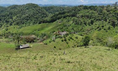 Venta Finca Ganadera Maceo Antioquia