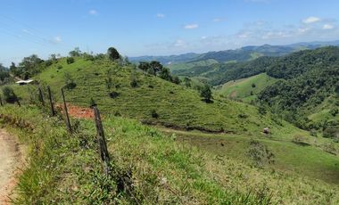 Venta Finca Ganadera Maceo Antioquia