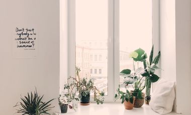 Cozy apartment