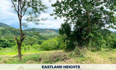 For Sale: Residential Lot in Eastland Heights, Antipolo