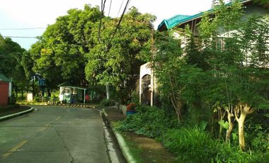 200sqm Lot For sale in Cainta Rizal PH2893