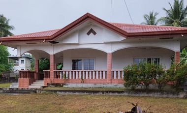 PRICE REDUCED!!    GOOD INVESTMENT BEACH PROPERTY FOR SALE IN DAUIN