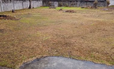 PRICE REDUCED!!    GOOD INVESTMENT BEACH PROPERTY FOR SALE IN DAUIN