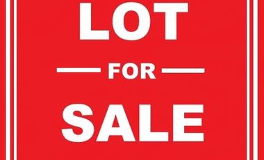 Commercial Lot for sale in Barangay 462, Manila