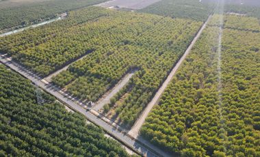 VENTA DE PARCELAS AGRICOLAS, LOTEO VISTA LOS NOGALES DESDE 58.500.000