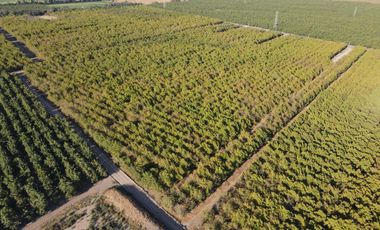 VENTA DE PARCELAS AGRICOLAS, LOTEO VISTA LOS NOGALES DESDE 58.500.000