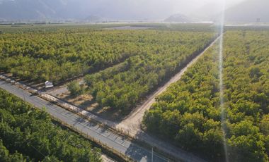 VENTA DE PARCELAS AGRICOLAS, LOTEO VISTA LOS NOGALES DESDE 58.500.000