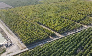 VENTA DE PARCELAS AGRICOLAS, LOTEO VISTA LOS NOGALES DESDE 58.500.000