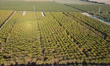 VENTA DE PARCELAS AGRICOLAS, LOTEO VISTA LOS NOGALES DESDE 58.500.000