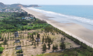 Terrenos de Venta al pie del Mar en Olón