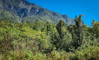 En Ranco, Región de los Ríos Linda Parcela de 2,5 ha con vista al Lago Ranco y colindante con Parque Futangue