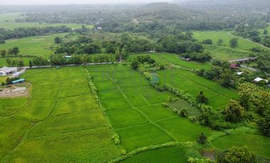 Land 7.5 Rai in Doi Saket for Sale