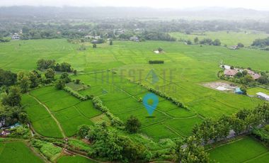 Land 7.5 Rai in Doi Saket for Sale