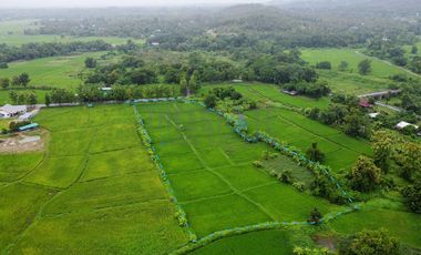 Land 7.5 Rai in Doi Saket for Sale