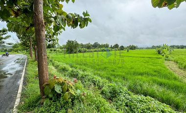 Land 7.5 Rai in Doi Saket for Sale