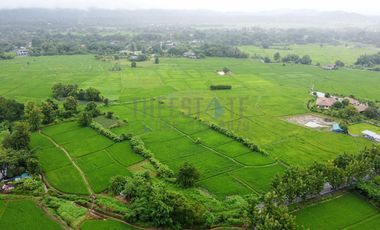 Land 7.5 Rai in Doi Saket for Sale