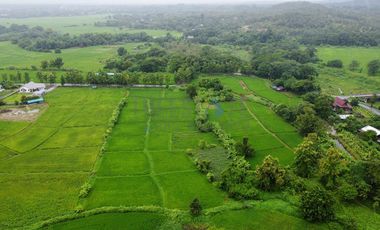 Land 7.5 Rai in Doi Saket for Sale