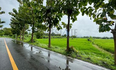 Land 7.5 Rai in Doi Saket for Sale