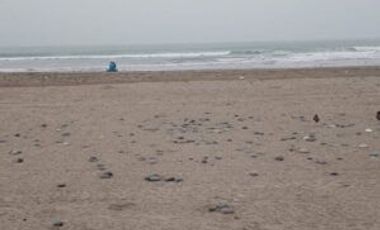 Terrenos de Playa en Cerro Azul