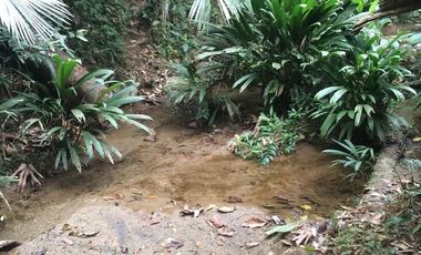 Te vendo este lujoso terreno en unidad cerrada, agua de nacimiento, no paga agua ni luz en Barbosa.
