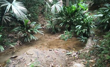 Te vendo este lujoso terreno en unidad cerrada, agua de nacimiento, no paga agua ni luz en Barbosa.