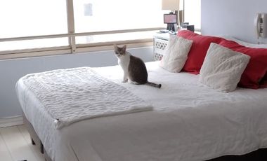 Arriendo dpto en Av Edmundo Eluchans Concon:                                        3 dormitorios                                     2 baños                                      Cocina independiente                    2 terrazas al aire libre, una grande con hermosa vista panorámica                                        2 estacionamientos techados