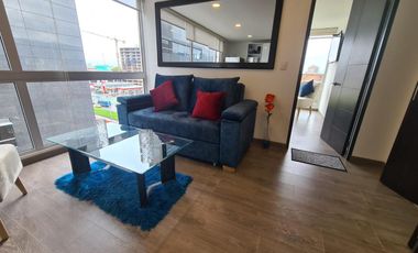 RENTO HERMOSO APARTAMENTO AMOBLADO, CALLE 100  LA CASTELLANA,  PASADENA CON TODO INCLUIDO