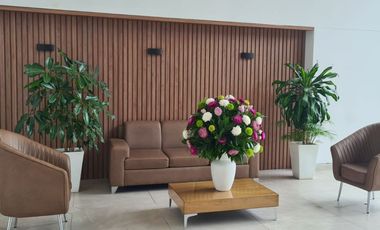 RENTO HERMOSO APARTAMENTO AMOBLADO, CALLE 100  LA CASTELLANA,  PASADENA CON TODO INCLUIDO