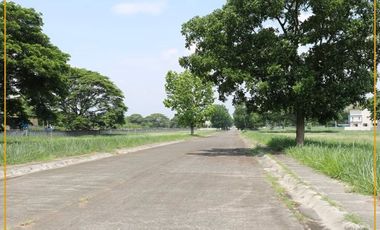 Open Lot For Sale in Manila Southwoods Residential Estates near Alabang Muntinlupa City