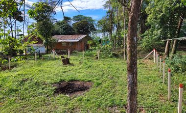 lotes en acacias meta