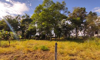 lotes en acacias meta