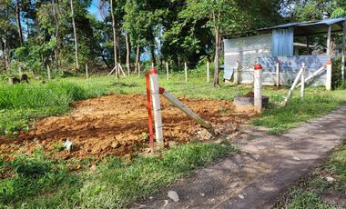 lotes en acacias meta