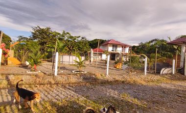 lotes en acacias meta