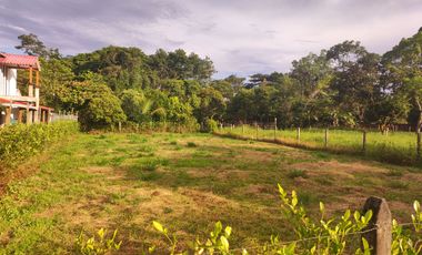 lotes en acacias meta