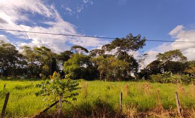 lotes en acacias meta