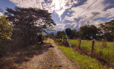 lotes en acacias meta