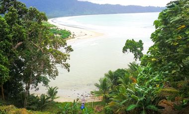 BEACHFRONT FOR SALE IN SAN VINCENTE, PALAWAN