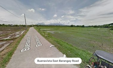 LAND FOR COMMERCIAL USE FOR SALE OR FOR RENT