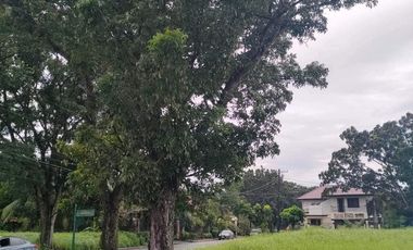 Lot in Manville Royale Subd Bacolod