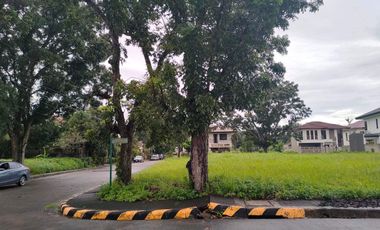 Two Corner Lots in Manville Royale Subd Bacolod