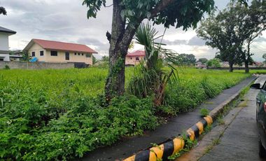 Lot in Manville Royale Subd Bacolod