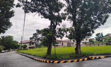 Lot in Manville Royale Subd Bacolod