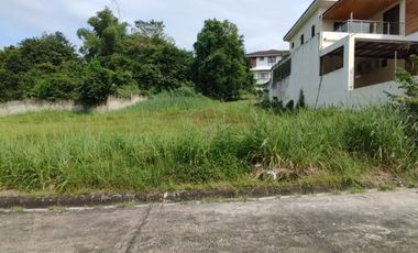 Prime Lot Lot for Sale Near Pasay
