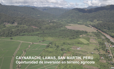 VENDO TERRENO AGRICOLA INDUSTRIAL EN TARAPOTO PERÚ