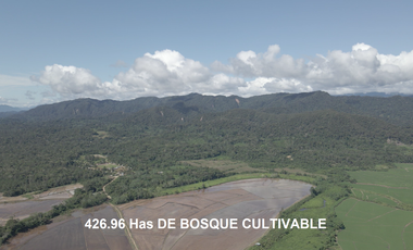 VENDO TERRENO AGRICOLA INDUSTRIAL EN TARAPOTO PERÚ