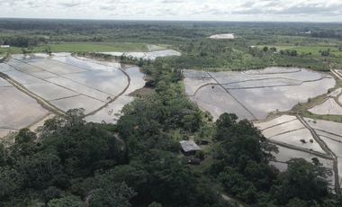 VENDO TERRENO AGRICOLA INDUSTRIAL EN TARAPOTO PERÚ