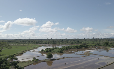 VENDO TERRENO AGRICOLA INDUSTRIAL EN TARAPOTO PERÚ